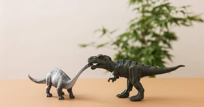 Musée pour enfants : découvrez un monde fascinant d’apprentissage et de divertissement