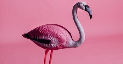 Jeux d’imitation : l’importance du jeu dans le développement des enfants