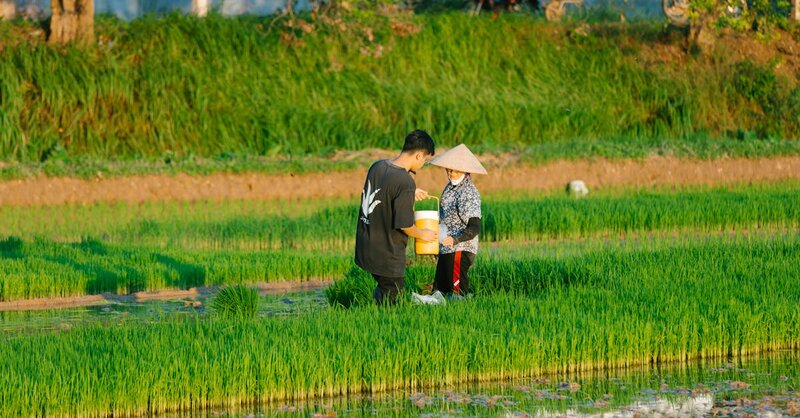 Activités en extérieur : 10 idées pour profiter de la nature