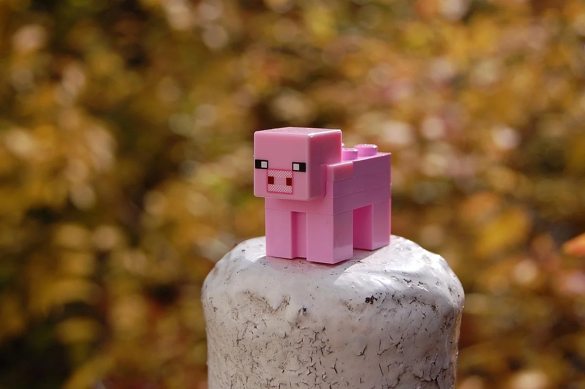 Astuces de construction Minecraft avec les seeds