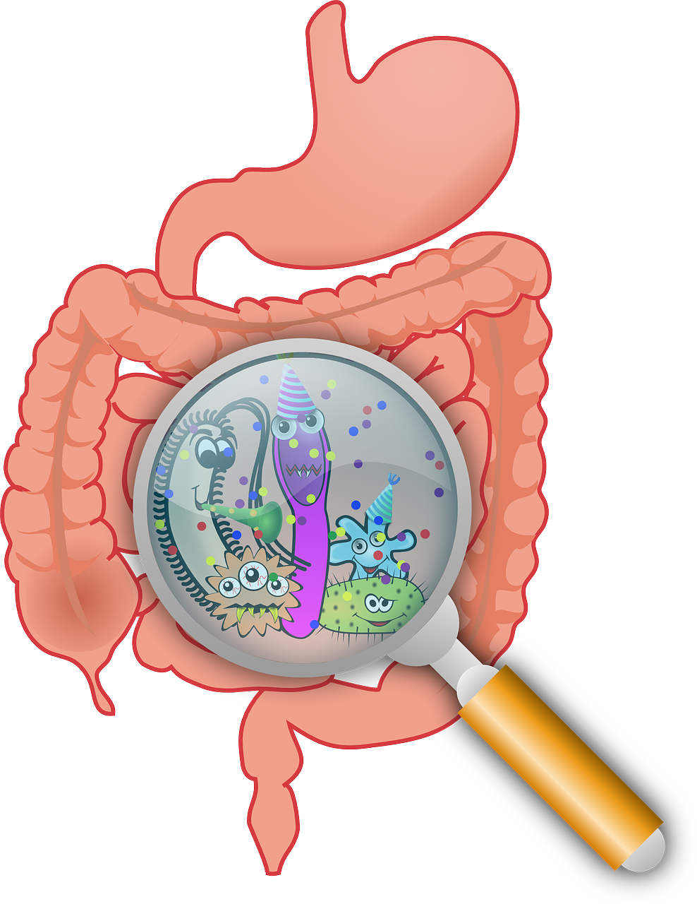 découvrez comment maintenir une santé digestive optimale grâce à nos conseils et astuces. apprenez les meilleurs aliments, habitudes et remèdes pour favoriser votre bien-être intestinal.