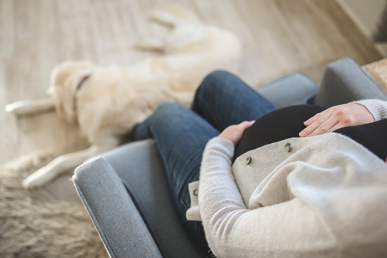 découvrez tout ce qu'il faut savoir sur la grossesse : conseils, étapes clés, bien-être, nutrition et soutien pour vivre pleinement cette période unique de la vie. explorez des informations précieuses pour accompagner les futurs parents dans leur aventure parentale.