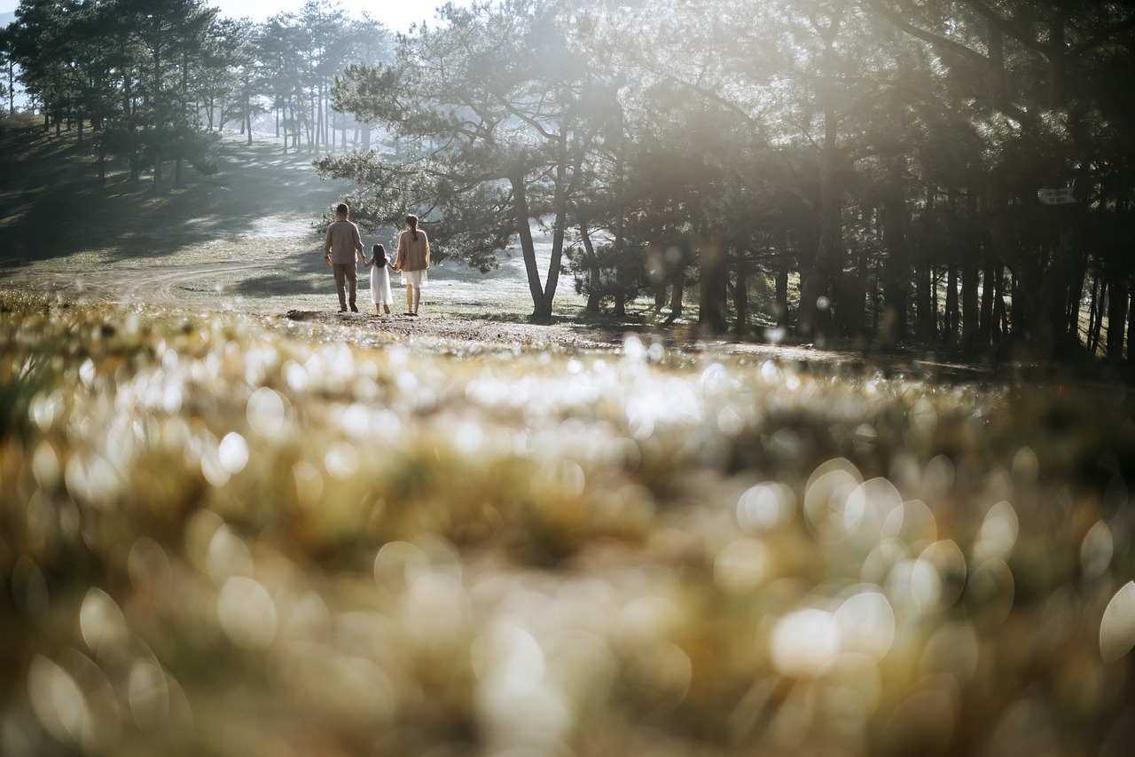 découvrez des idées d'excursions en famille inoubliables, alliant divertissement et moments de partage. explorez des activités variées pour tous les âges, des parcs d'attractions aux randonnées en pleine nature.