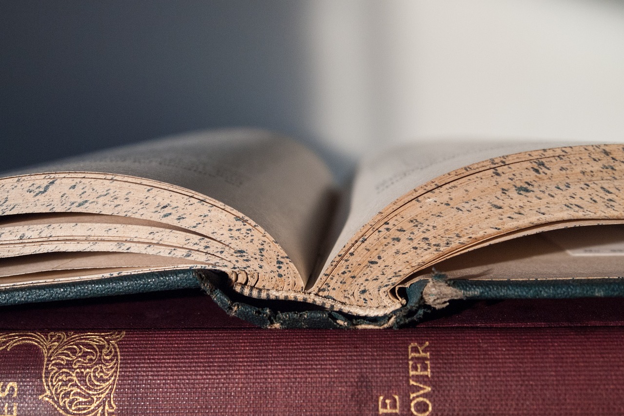 découvrez l'apprentissage par le jeu, une approche éducative innovante qui permet aux enfants d'explorer, de créer et d'apprendre naturellement tout en s'amusant. favorisez le développement socio-émotionnel et cognitif de votre enfant grâce à des activités ludiques et engageantes.