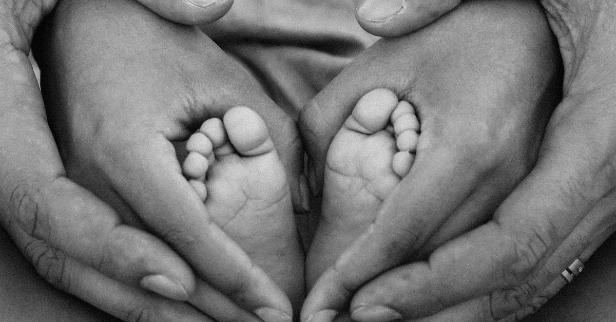 découvrez notre gamme de formulaires infantiles, spécialement conçus pour répondre aux besoins nutritionnels des bébés. offrez à votre petit une alimentation équilibrée et savoureuse, tout en garantissant une digestion optimale. explorez nos produits et choisissez le meilleur pour le bien-être de votre enfant.