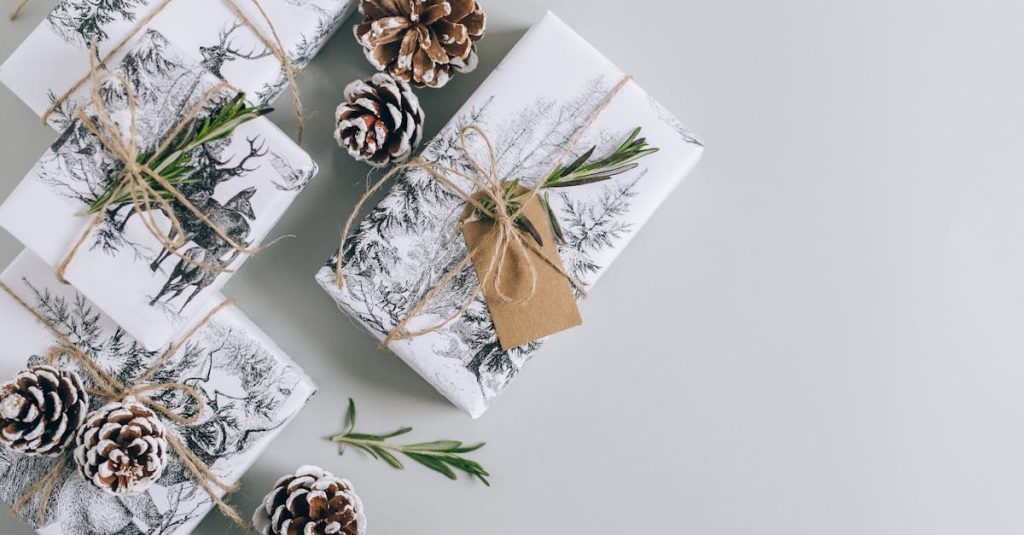 découvrez notre sélection de cadeaux durables qui allient éthique et style. offrez des présents respectueux de l'environnement et soutenez des pratiques écologiques tout en réjouissant vos proches.