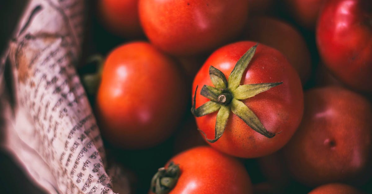 découvrez le commerce équitable : un modèle qui garantit des conditions de travail dignes et des revenus justes pour les producteurs, tout en préservant l'environnement. engagez-vous en consommant des produits issus du commerce équitable et soutenez une économie plus responsable.