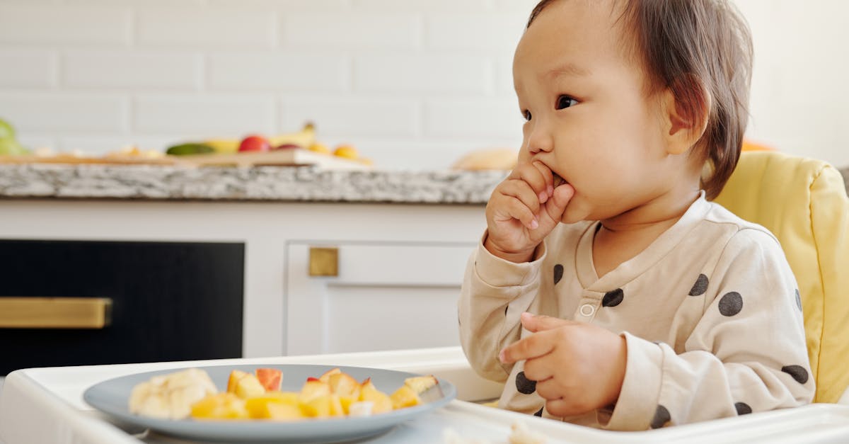 découvrez notre gamme de nourriture bio pour bébés, spécialement conçue pour offrir à votre petit une alimentation saine et délicieuse. nos produits sont préparés avec des ingrédients 100% naturels, garantissant qualité et goût pour le bien-être de votre enfant.