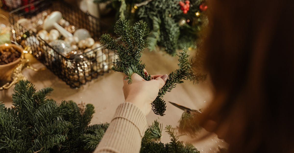 découvrez notre sélection de cadeaux durables, alliant écologie et élégance. offrez des présents qui préservent la planète tout en faisant plaisir à vos proches. parfait pour toutes les occasions, choisissez des options responsables et tendance !