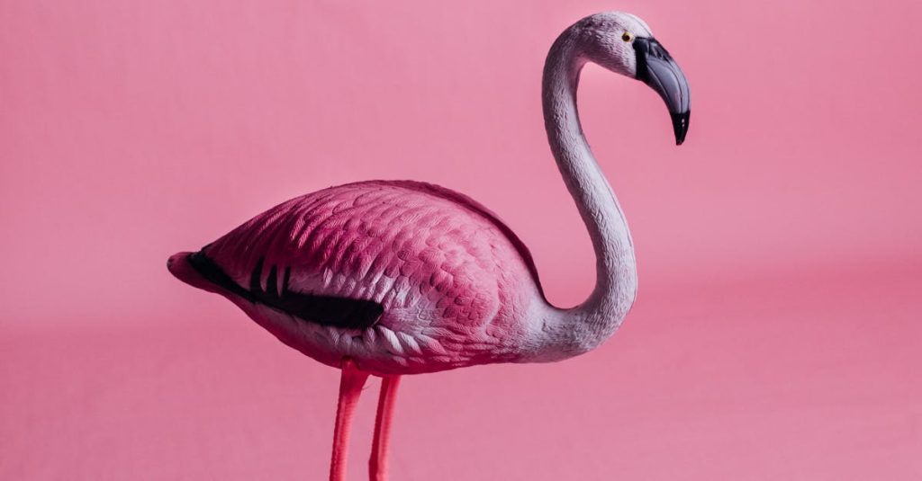 découvrez le monde captivant de l'imitation play, où la créativité et l'improvisation prennent vie à travers des jeux de rôle et des performances interactives. laissez-vous emporter par des expériences uniques et amusantes qui stimulent votre imagination et favorisent les échanges.