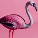 découvrez le monde captivant de l'imitation play, où la créativité et l'improvisation prennent vie à travers des jeux de rôle et des performances interactives. laissez-vous emporter par des expériences uniques et amusantes qui stimulent votre imagination et favorisent les échanges.