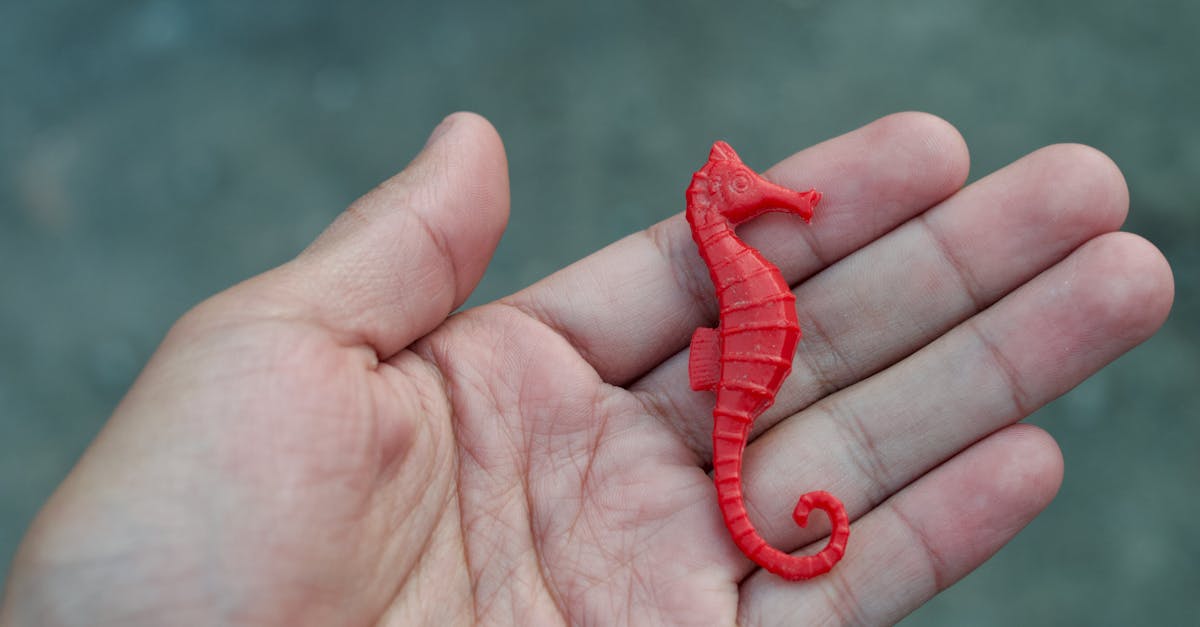découvrez l'univers captivant de l'imitation play, où le jeu d'acteur se mêle à la créativité pour offrir des expériences ludiques et enrichissantes. explorez nos astuces, techniques et conseils pour maîtriser l'art de l'imitation et impressionner votre audience.