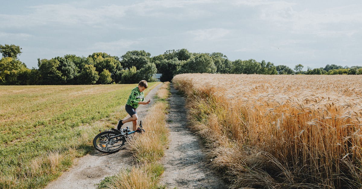 découvrez le mouvement naturel, une approche unique qui favorise l'harmonie entre le corps et l'esprit. apprenez à vous reconnecter avec vos instincts et à optimiser votre bien-être physique par des techniques inspirées de la nature.
