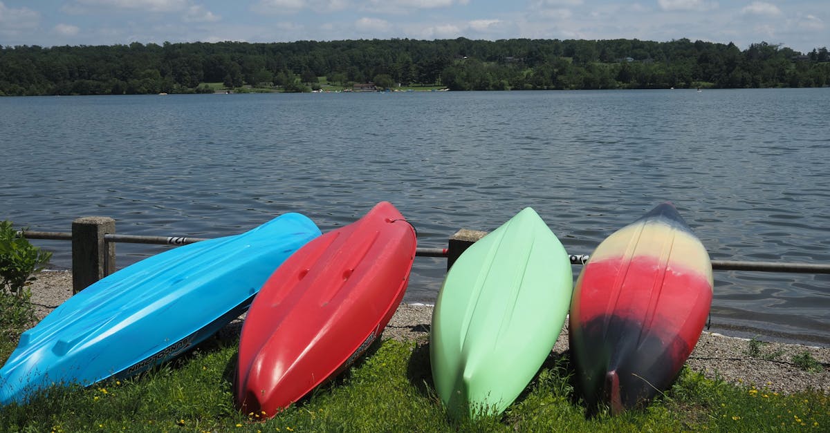 découvrez une multitude d'activités en plein air adaptées à tous les amateurs d'aventure. que vous soyez passionné de randonnées, de vélo, ou de sports nautiques, explorez nos conseils et astuces pour profiter au maximum de vos moments passés en nature.