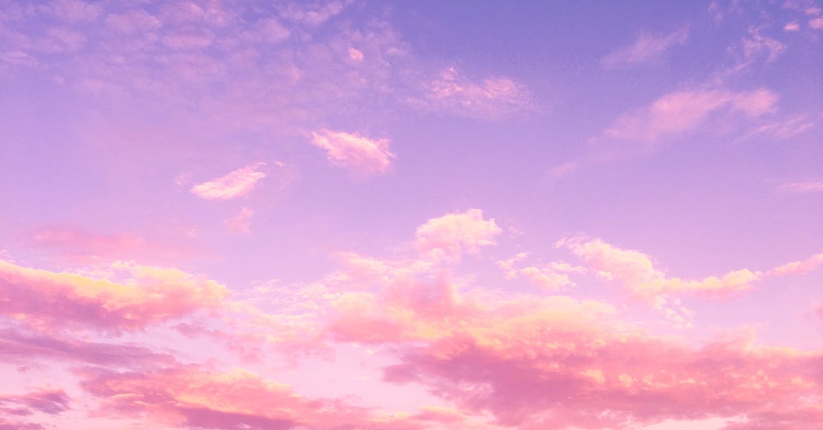 découvrez la beauté et la richesse de la nature à travers des articles inspirants, des conseils écologiques et des photos captivantes. explorez la faune, la flore et les merveilles naturelles pour mieux comprendre et préserver notre environnement.
