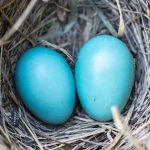 participez à notre enquête parentale pour partager votre avis et améliorer les services destinés aux familles. votre opinion compte !