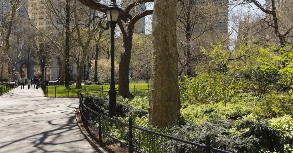 découvrez des conseils, idées et solutions pour l'aménagement paysager afin de transformer votre jardin en un espace extérieur harmonieux, fonctionnel et esthétique.