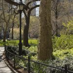 découvrez des conseils, idées et solutions pour l'aménagement paysager afin de transformer votre jardin en un espace extérieur harmonieux, fonctionnel et esthétique.