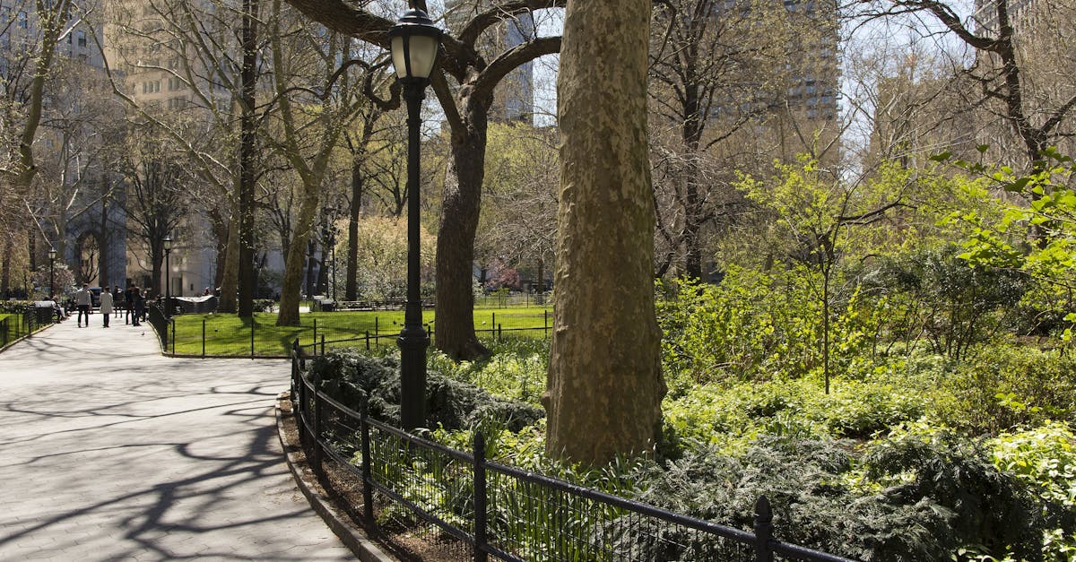 découvrez des conseils, idées et solutions pour l'aménagement paysager afin de transformer votre jardin en un espace extérieur harmonieux, fonctionnel et esthétique.