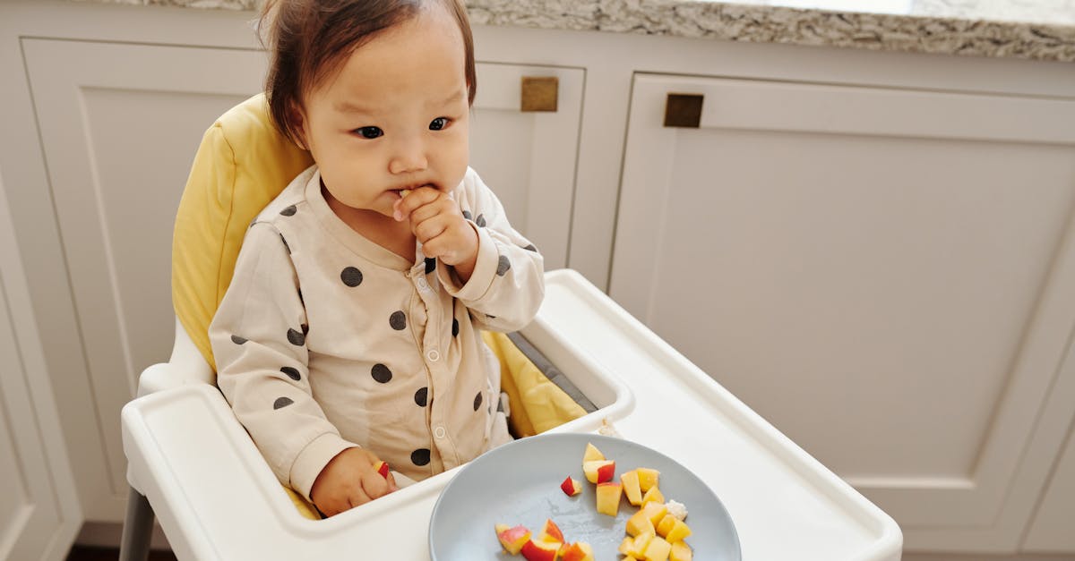découvrez notre sélection de nourriture pour bébés, préparée avec des ingrédients naturels et sains. offrez à votre petit les meilleurs repas pour son développement, avec des recettes variées et savoureuses adaptées à chaque étape de sa croissance.