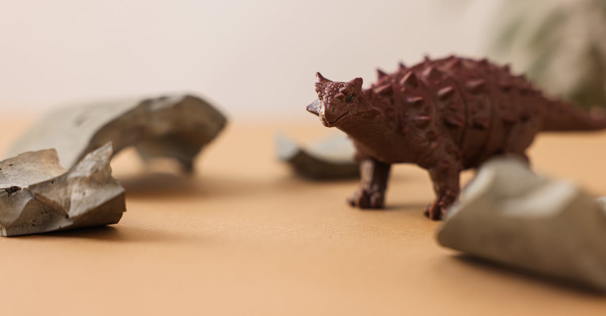 découvrez un univers fascinant au musée des enfants, un lieu interactif et éducatif où les petits explorateurs peuvent apprendre en s'amusant. des expositions captivantes et des activités ludiques éveillent la curiosité et stimulent l'imagination des jeunes esprits.