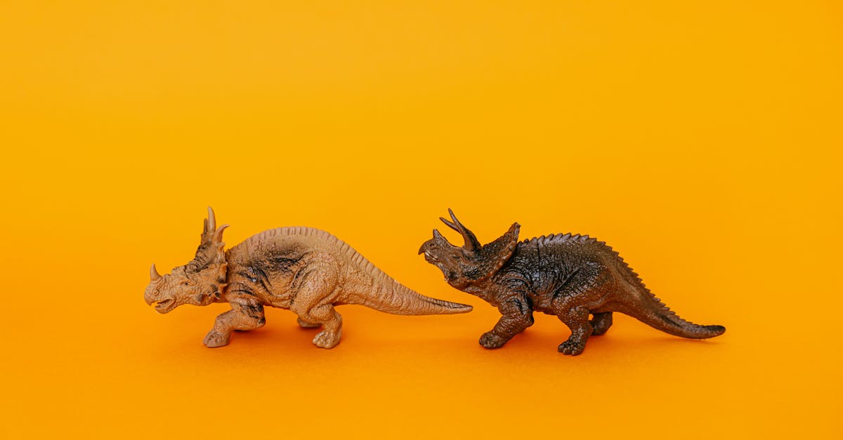 découvrez un univers fascinant au musée des enfants, où l'apprentissage rime avec plaisir. des expositions interactives et des activités ludiques attendent vos petits pour éveiller leur curiosité et stimuler leur créativité. une expérience inoubliable en famille à ne pas manquer !
