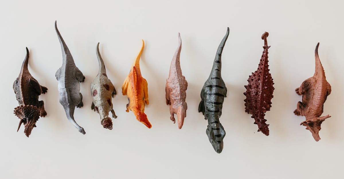 découvrez un lieu fascinant où l'apprentissage et le divertissement se rejoignent : le musée pour enfants. plongez dans un univers d'expériences interactives et éducatives, conçu spécialement pour éveiller la curiosité des plus jeunes. un espace idéal pour explorer, jouer et développer leur créativité tout en s'amusant.