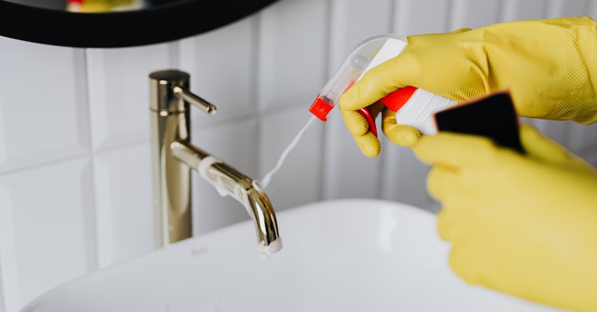 découvrez une gamme complète de services à domicile pour faciliter votre quotidien : ménage, entretien, réparations et bien plus. qualité, fiabilité et satisfaction garanties !