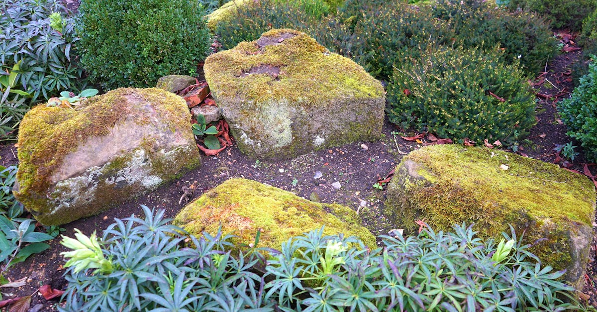 découvrez nos conseils et inspirations pour l'aménagement paysager. mettez en valeur votre jardin avec des idées de landscaping adaptées à tous les espaces et budgets.