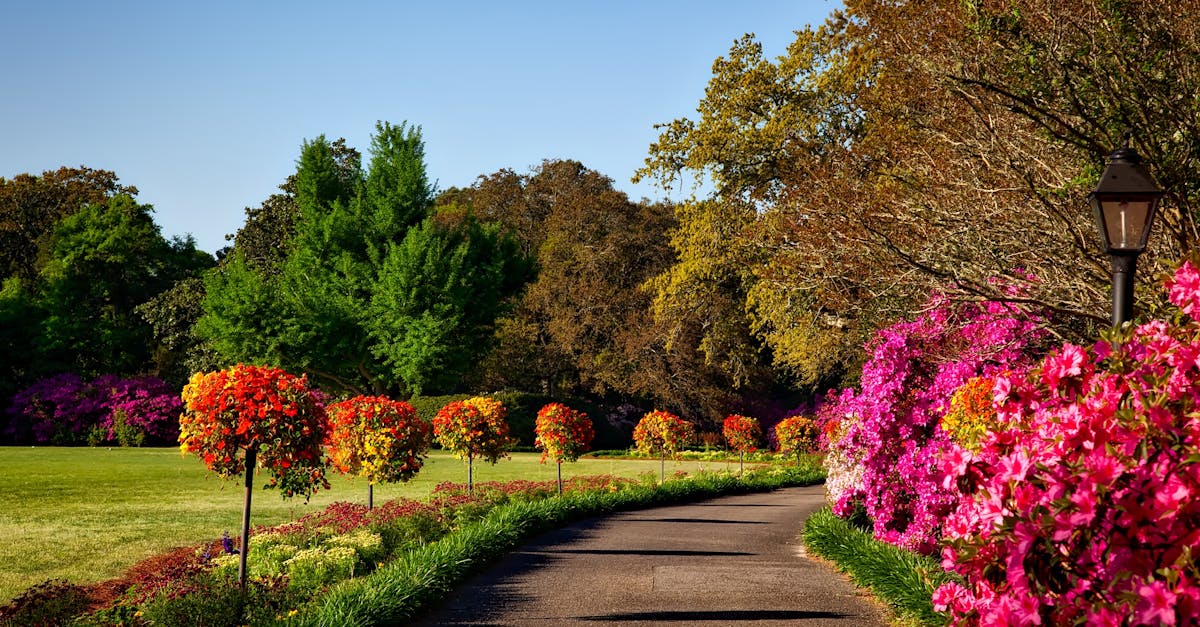 découvrez l'art du landscaping : conseils, inspirations et astuces pour transformer votre jardin et vos espaces extérieurs en véritables havres de paix. aménagement paysager, entretien et idées créatives pour tous les budgets.