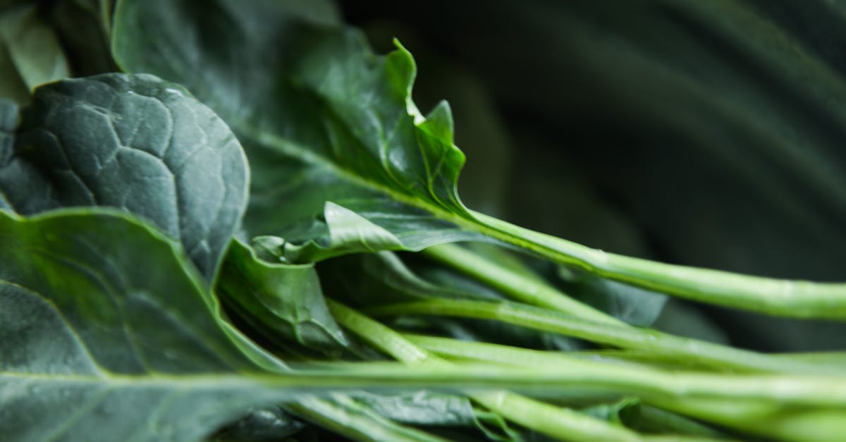 découvrez les bienfaits de l’alimentation bio : avantages pour la santé, respect de l’environnement et conseils pour choisir des produits biologiques de qualité. adoptez une alimentation saine et naturelle !