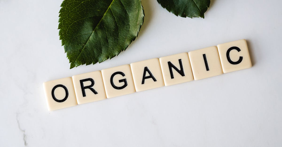 découvrez l'alimentation biologique : des produits sains, naturels et respectueux de l'environnement pour une vie plus saine et équilibrée.